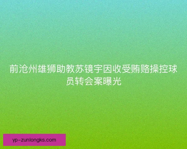 前沧州雄狮助教苏镜宇因收受贿赂操控球员转会案曝光